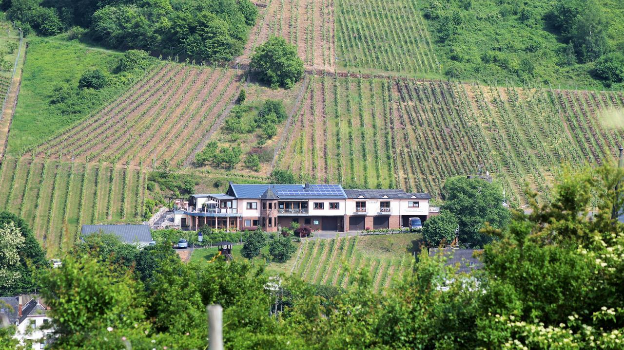 Urlaubsweingut Zecherhof Neef Eksteriør billede