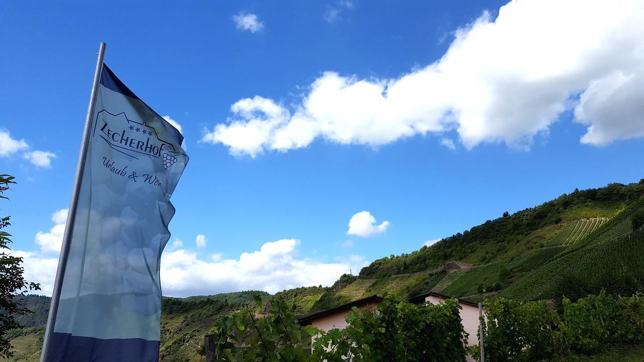 Urlaubsweingut Zecherhof Neef Eksteriør billede